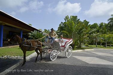 Carriage_ride_to_Guardalavaca,_DSC3210_b_B740