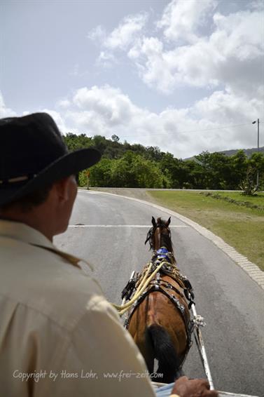 Carriage_ride_to_Guardalavaca,_DSC3217_b_B555