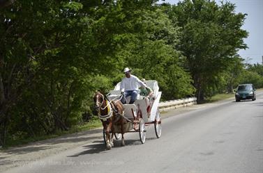 Carriage_ride_to_Guardalavaca,_DSC3222_b_B740