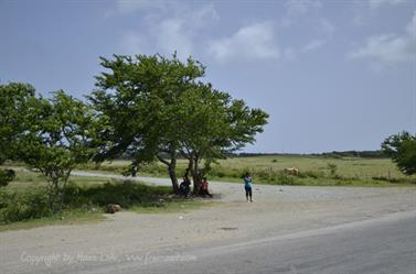 Carriage_ride_to_Guardalavaca,_DSC3223_b_B740