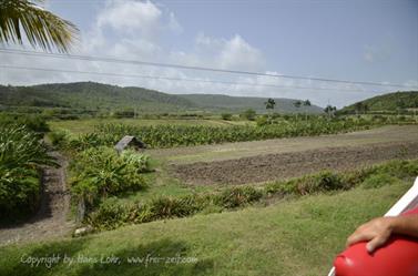 Carriage_ride_to_Guardalavaca,_DSC3230_b_B740