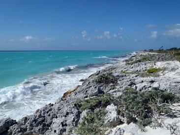 Cayo_Largo_Exploration,_P3131887_b_H600