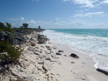 Cayo_Largo_Exploration,_P3131893_b_H600