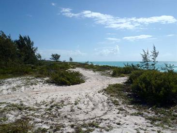 Cayo_Largo_Exploration,_P3131895_b_H600