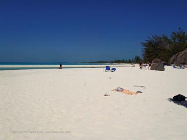 Cayo_Largo_Exploration,_P3131907_b_H600