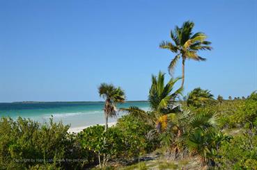 Ensenachos-Beach,_DSC_9641_b_H600