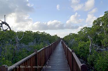 Ensenachos-Hotel,_Cayo_Santa_Maria,_DSC2752_b_B740