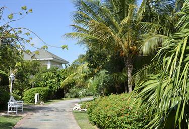 Ensenachos-Hotel,_Cayo_Santa_Maria,_DSC2966_b_B740