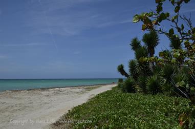 Hotel-Paradisus,_Varadero,_DSC2572_b_B740