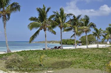 Melia-Buenavista-Hotel,_Cayo_Santa_Maria,_DSC2805_b_B740