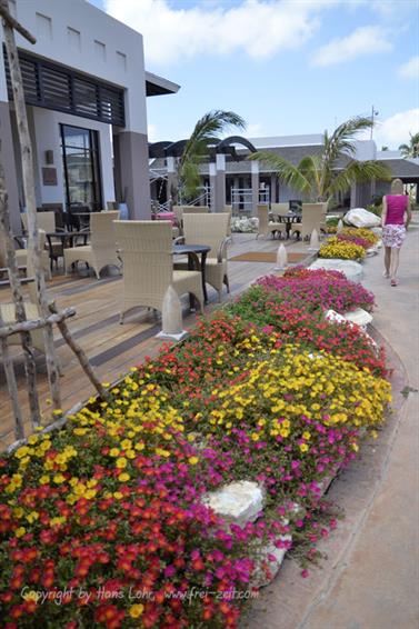 Melia-Buenavista-Hotel,_Cayo_Santa_Maria,_DSC2812_b_B555