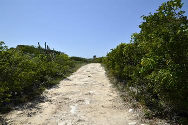 Playa_Perla_Blanca,_Cayo_Santa_Maria,_DSC2930_b_B740