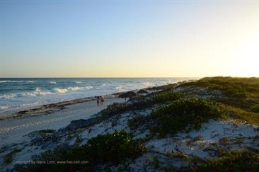 Sol_Cayo_Largo_Beach,_DSC_8570_b_H600