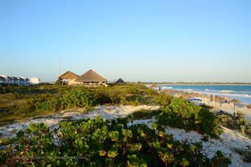 Sol_Cayo_Largo_Beach,_DSC_8572_b_H600