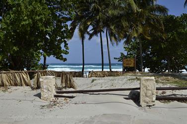 Varadero-Village,_Sightseeing,_DSC1953_b_B740