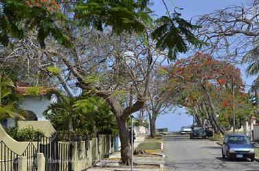 Varadero-Village,_Sightseeing,_DSC1994_b_B740