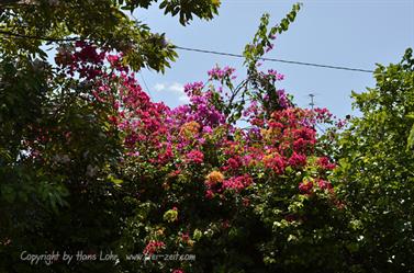 Varadero-Village,_Sightseeing,_DSC2032_b_B740