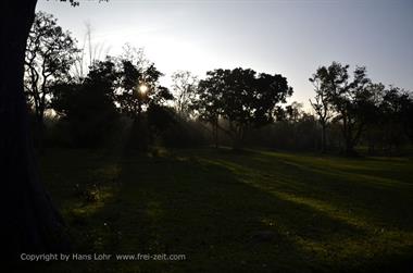 Bandipur-Nationalpark_DSC5040_H600