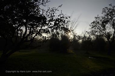 Bandipur-Nationalpark_DSC5041_H600