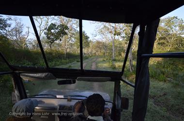 Bandipur-Nationalpark_DSC5042_H600