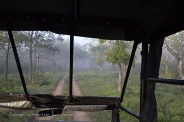 Bandipur-Nationalpark_DSC5043_H600