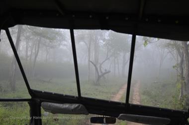 Bandipur-Nationalpark_DSC5044_H600