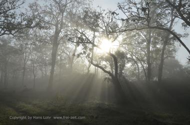 Bandipur-Nationalpark_DSC5046_H600