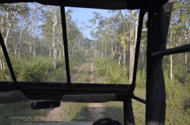 Bandipur-Nationalpark_DSC5048_H600