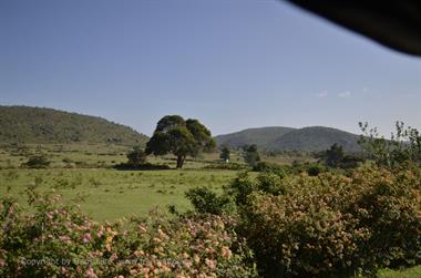 Bandipur-Nationalpark_DSC5078_H600