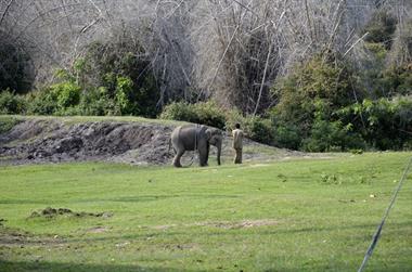 Bandipur-Nationalpark_DSC5137_H600