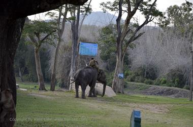 Bandipur-Nationalpark_DSC5138_H600