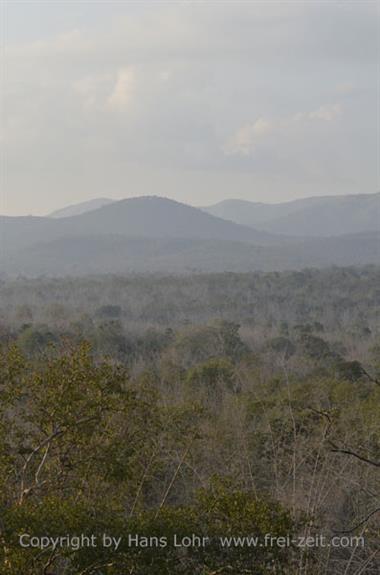 Bandipur-Nationalpark_DSC5152_H600