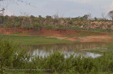 Bandipur-Nationalpark_DSC5164_H600