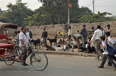 DELHI_OLD_TOWN,__DSC2111_b_H600