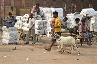 DELHI_OLD_TOWN,__DSC2171_b_H600