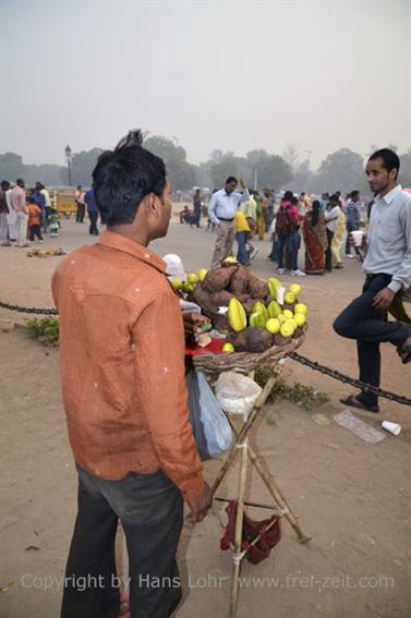 INDIA-GATE,_DELHI,__DSC2383_c_H600