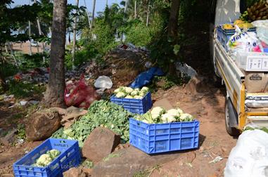 Kovalam,_DSC_8926_H600