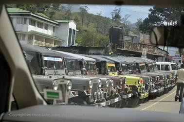 Munnar_DSC5844_H600