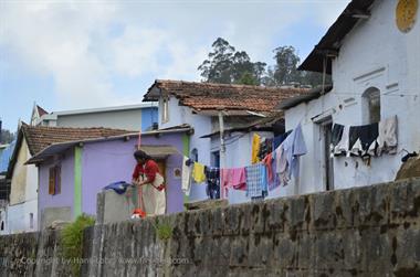 Ooty_DSC5570_H600