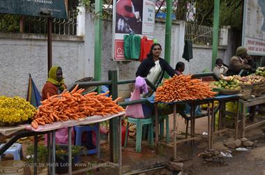 Ooty_DSC5574_H600