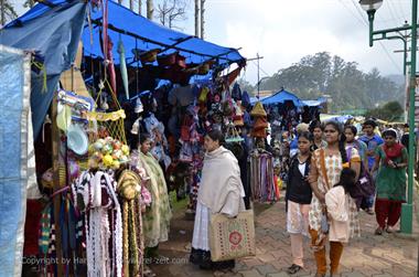 Ooty_DSC5620_H600