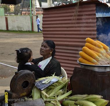 Ooty_DSC5621_H600