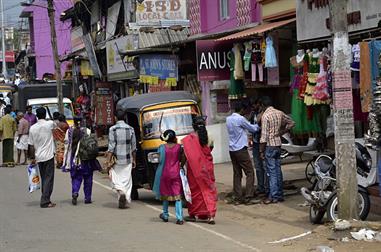 Thekkady_DSC7135_H600