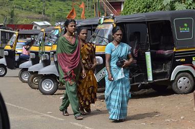 Thekkady_DSC7152_H600