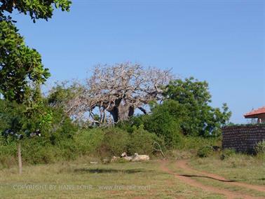 KENYA_2007,_Bob_and_his_village,_DSC04238H488