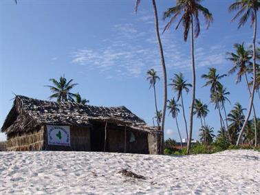 KENYA_2007,_Diani_Beach,_DSC04303H488