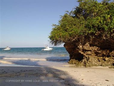 KENYA_2007,_Diani_Beach,_DSC04316H488