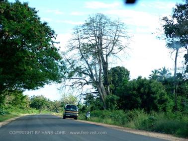 KENYA_2007,_Mombasa_day_trip,_DSC04563H488