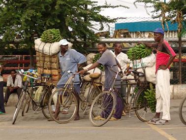 KENYA_2007,_Mombasa_day_trip,_DSC04572H488