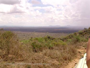 KENYA_2007,_Safari,_Tsavo_NP,_DSC05007H488